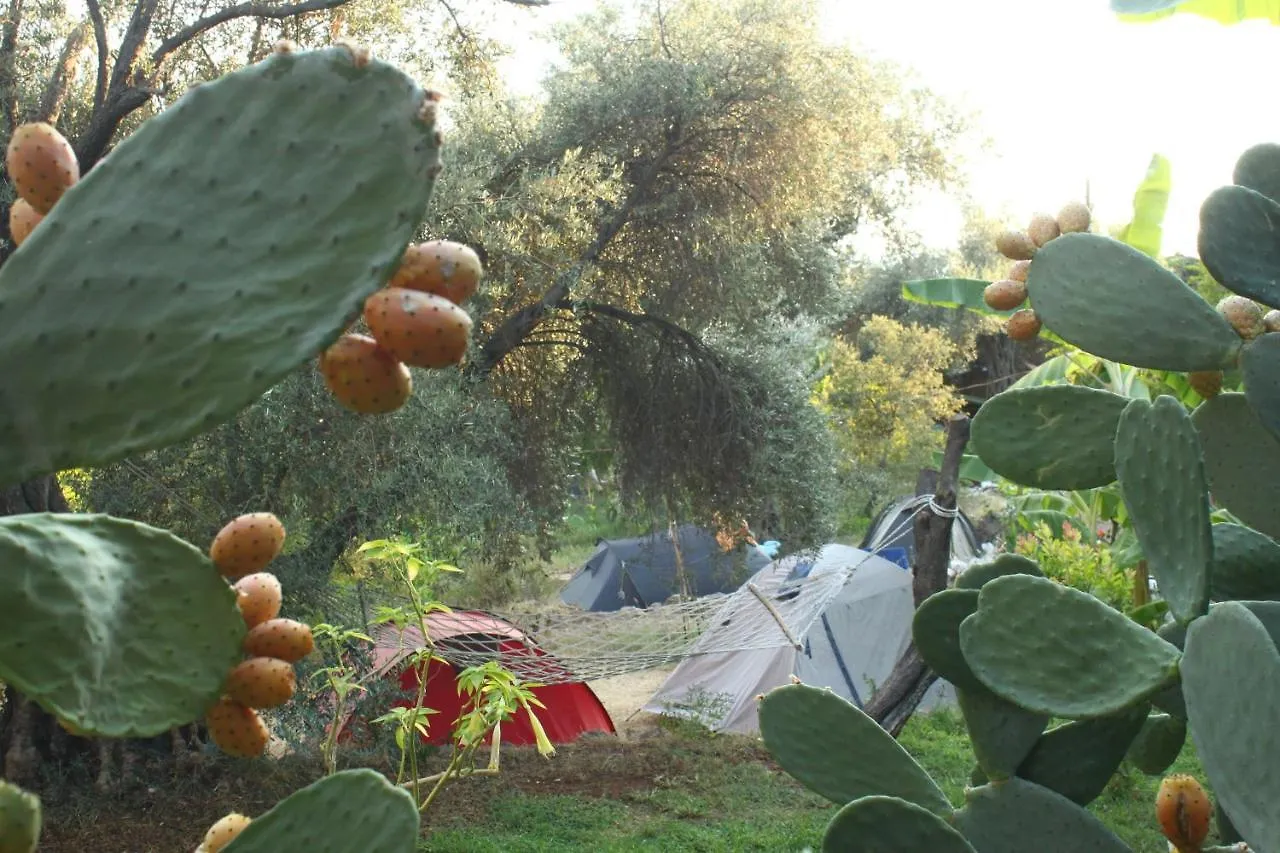 Sultan Camp Apartment Fethiye Turkey